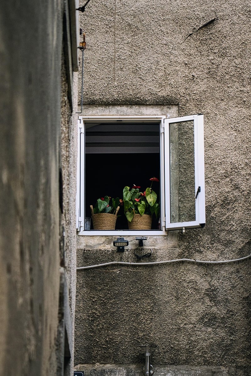 Window Garden